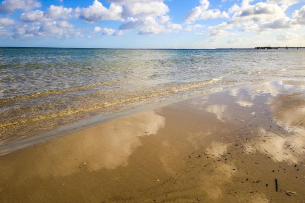 שרבאוץ Ferienwohnung Strandvilla Augustusbad 14 מראה חיצוני תמונה